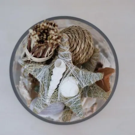 Apartman Nanas Metamórfoszi